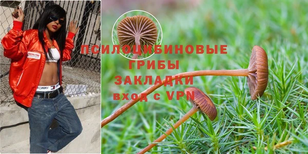синтетический гашиш Абинск