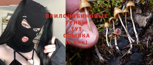 синтетический гашиш Абинск