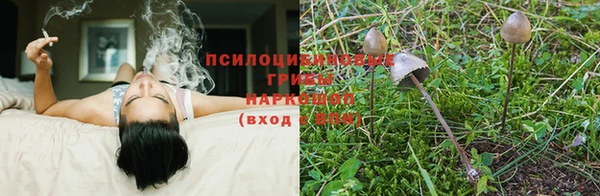 синтетический гашиш Абинск