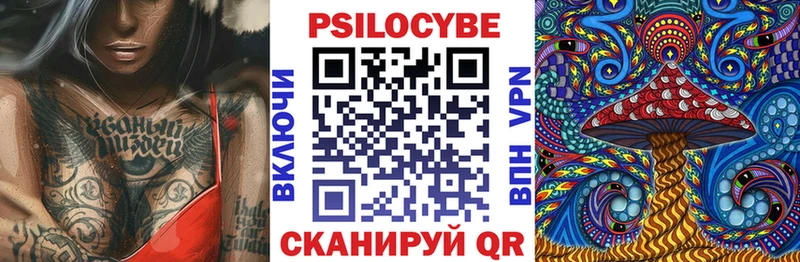 купить цена Приволжск Псилоцибиновые грибы Psilocybine cubensis